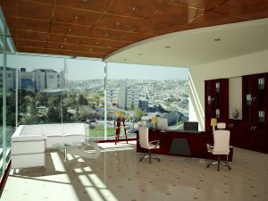 הדמיות פנים משרד