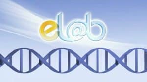 Web3D - מיתוג עסקי - לוגו של elab