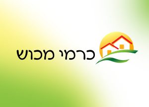 כרמי מכוש, מיתוג חברות, מיתוג דיגיטלי
