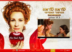 מראה מראה, מיניסייט, בניית אתר תדמית