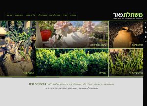 Web3d, עמוד אתר משתלת פאר, אתר תדמיתי