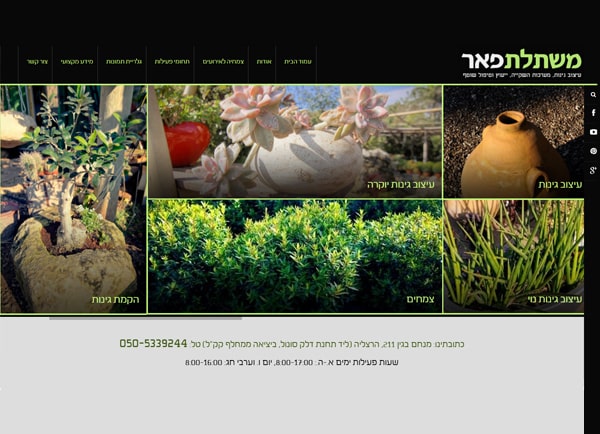 בניית אתר אינטרנט תדמיתי: משתלת פאר