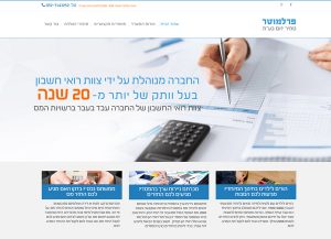 Web3D | בניית אתר וורדפרס | משרד רואה חשבון - פרלמוטר טמיר ייזום בע"מ