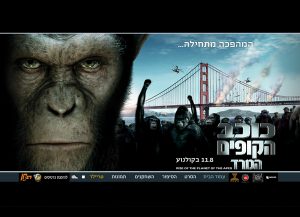 Web3d, מיניסייט כוכב הקופים, בניית אתר