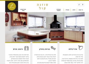 Web3D | בניית אתר אינטרנט: סוזנה קול-מעצבת ואדריכלית