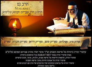 הרב הט, בניית אתר אינטרנט, הקמת אתר אינטרנט