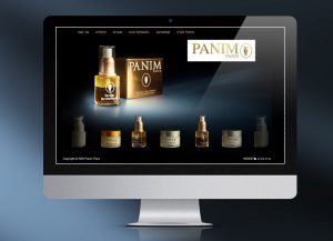 panim, הקמת אתר וורדפרס, בניית אתר דינמי