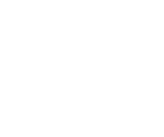 elsight