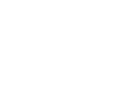 jtlv