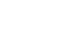 paragon