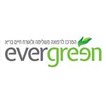 evergreen, לוגו, פיתוח אתר, בניית אתר, עיצוב אתר