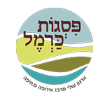 ויקי קפלוטו - ארגון עולי מרכז אירופה, המלצות