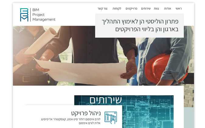 הקמת אתר אינטרנט: BPM תנומה ראשית של פרויקט