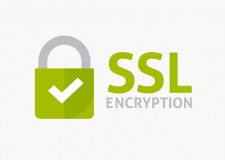 פרוטוקול SSL